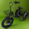 Трехколесный электровелосипед Fat Trike T NEW с передней корзиной
